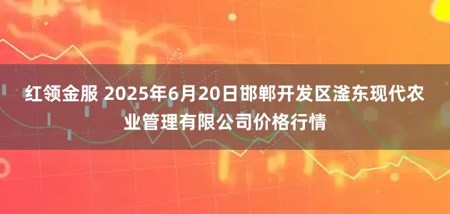 红领金服 2025年6月20日邯郸开发区滏东现代农业管理有限公司价格行情