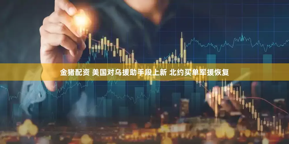 金猪配资 美国对乌援助手段上新 北约买单军援恢复