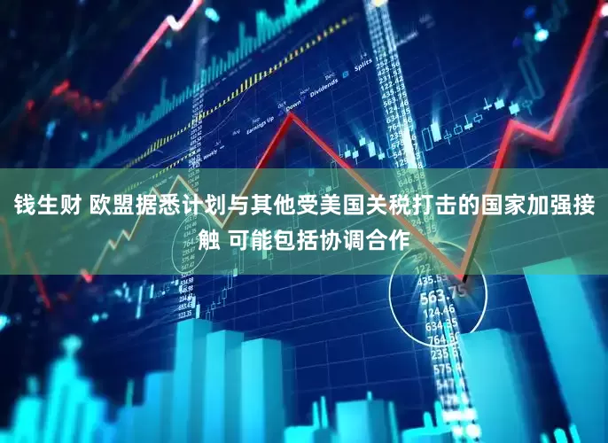 钱生财 欧盟据悉计划与其他受美国关税打击的国家加强接触 可能包括协调合作