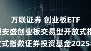万联证券 创业板ETF浦银: 浦银安盛创业板交易型开放式指数证券投资基金2025年中期报告
