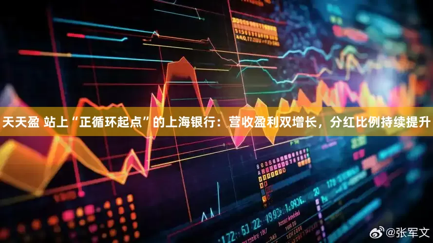 天天盈 站上“正循环起点”的上海银行：营收盈利双增长，分红比例持续提升