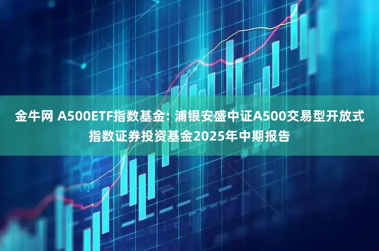 金牛网 A500ETF指数基金: 浦银安盛中证A500交易型开放式指数证券投资基金2025年中期报告