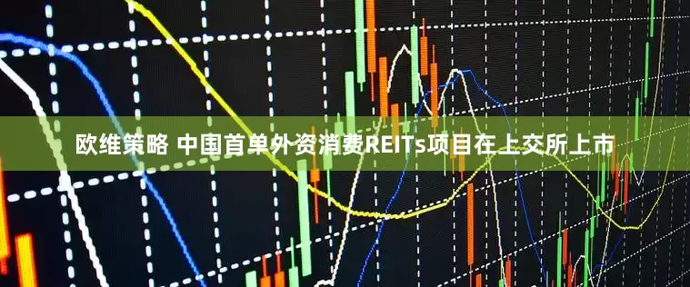 欧维策略 中国首单外资消费REITs项目在上交所上市