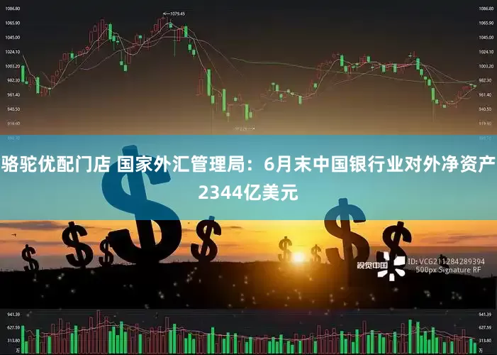 骆驼优配门店 国家外汇管理局：6月末中国银行业对外净资产2344亿美元
