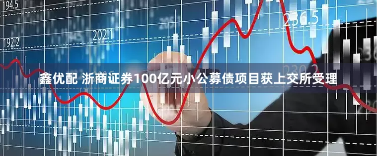 鑫优配 浙商证券100亿元小公募债项目获上交所受理