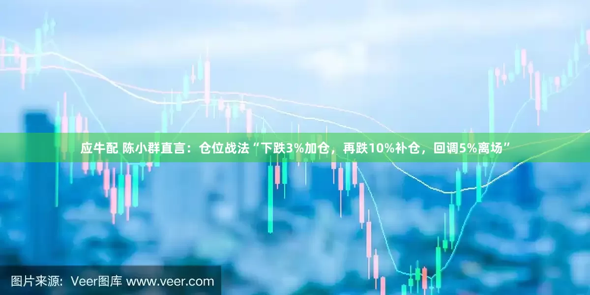 应牛配 陈小群直言：仓位战法“下跌3%加仓，再跌10%补仓，回调5%离场”