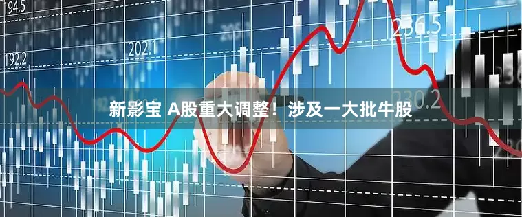 新影宝 A股重大调整！涉及一大批牛股